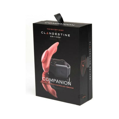 The Companion Remote Control Panty Vibe